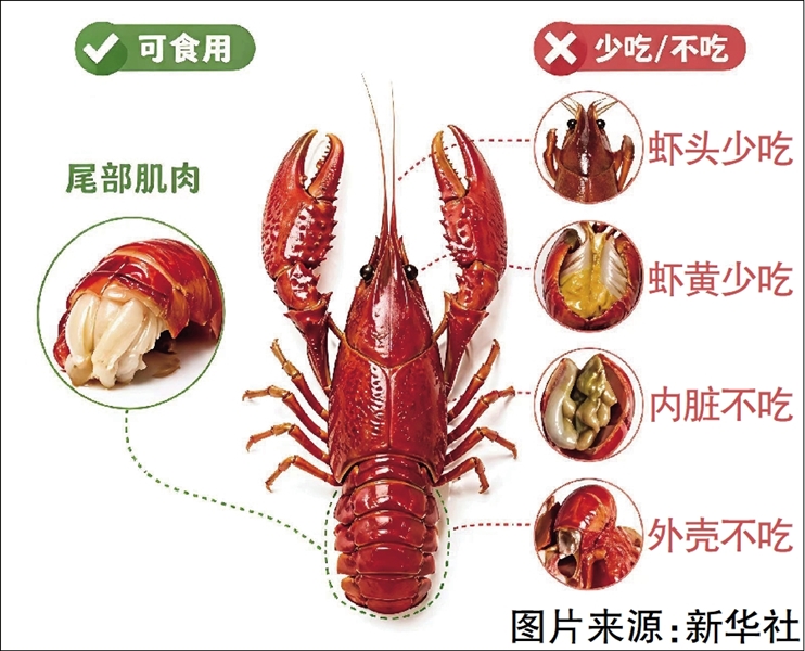 新建 BMP 图像 (2).jpg